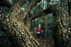 BIB: 
                            <button type="button" onclick="openModal(25394216)" class="btn btn-primary btn-sm float-right btn-popup" data-toggle="modal" data-target=".modal-high-quality">
                        <i class="fas fa-shopping-cart"></i> Add to Cart
                    </button>
                                            <button type="button" onclick="isThisMe(25394216, true)" class="btn btn-success btn-sm float-right btn-popup btn-isme hidden" data-toggle="tooltip" data-placement="bottom" title="นี่คือรูปของคุณใช่ไหม คลิกที่นี่เพื่อเอาเข้าอัลบั้ม">
                        <i class="fas fa-plus"></i> Add to album
                    </button>
                    <button type="button" onclick="isThisMe(25394216, false)" class="btn btn-warning btn-sm float-right btn-popup btn-isnotme hidden">
                        <i class="fas fa-ban"></i> Remove from album
                    </button>